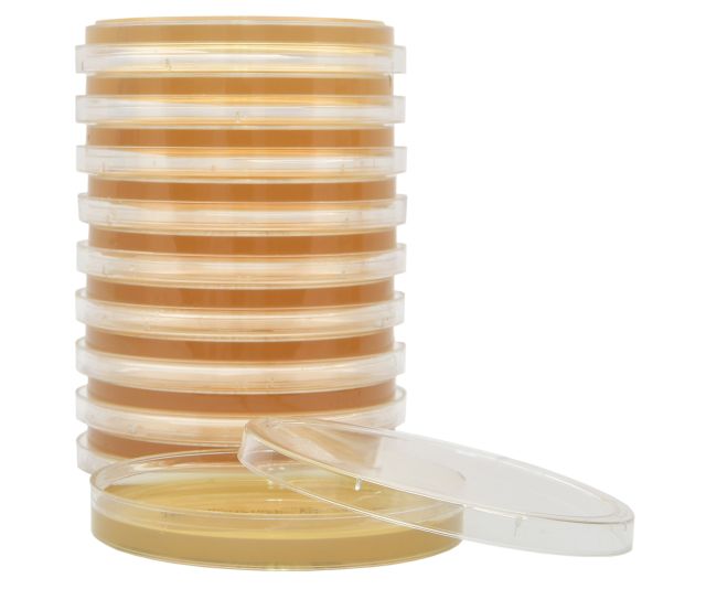 Tryptic Soy with Lecithin and Tween 80 Ager Plate 90mm (2*2/Box/2 Layer) Sterile.